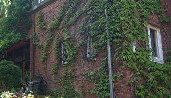 "Am Griebnitzsee" 14482 Potsdam-Babelsberg - Foto 4