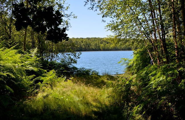 Adventure in Nature Tree Loft for 4 People 2 - Foto 14