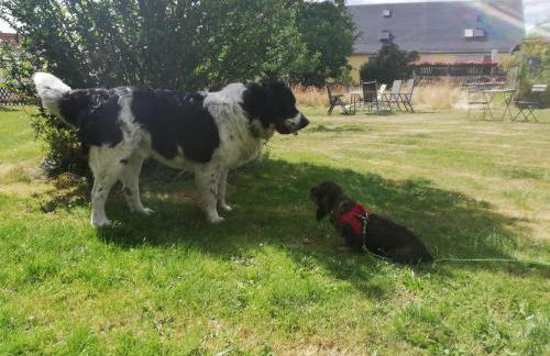 Ferienhof Höhensonne - Foto 11