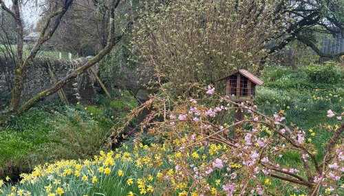 Garden Studio for Two - Foto 2