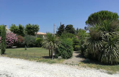 Appartements - Le Mas des Oliviers - Foto 38