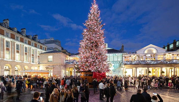 Free tour natalizio di Londra - Foto 2