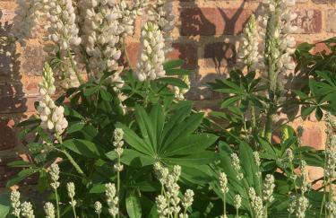 Private 2 Bedroom Apartment at Woodland Retreat - Foto 21