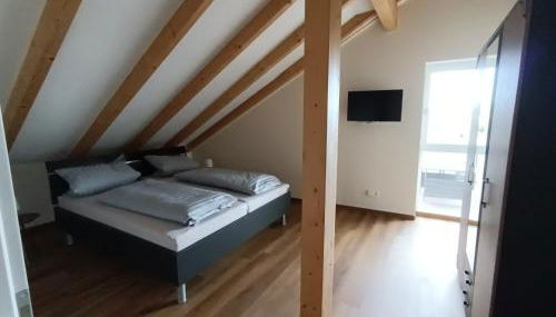 Weinrebenblick - Foto 4