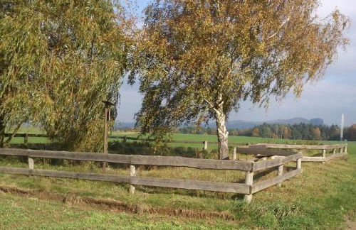 Kügler Comfortable Holiday Residence - Foto 5