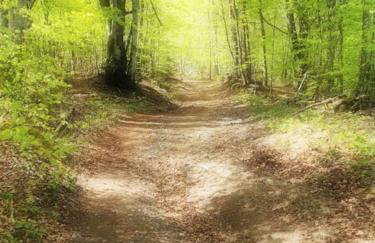 Kuća za odmor Starčević - Foto 15