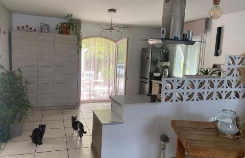 Villa Zen avec 2 chats - Foto 9