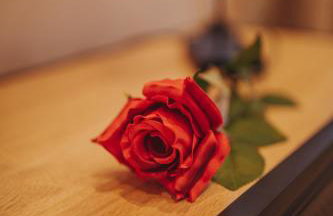 Le Desirella gite De Charme Spa - Photo 16