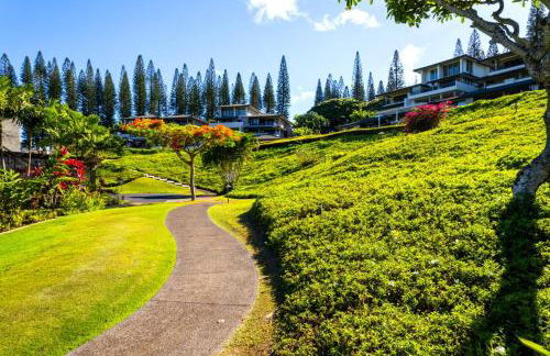 Kapalua Golf Villas 2 Free cars KBM Resorts Large Bedrooms 2 Units 3 Bedrooms ML-2189 - Foto 72