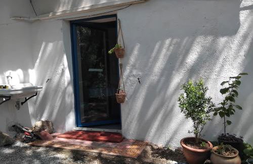 Les Pipistrelles - Foto 9