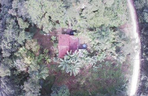 Chácara na Mata Atlântica - Photo 1