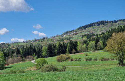 CzarnyHetman - Foto 33