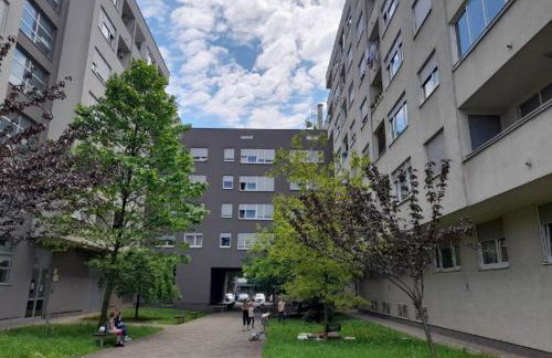 Apartman Lumi Arena - Foto 6