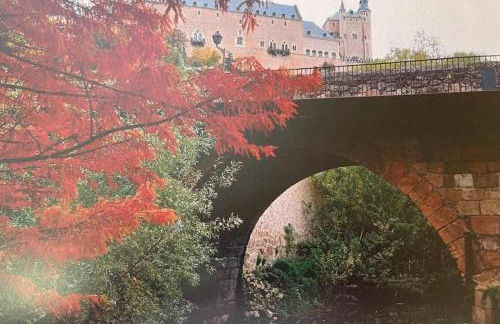 El Jardín de la Alegría - Foto 24