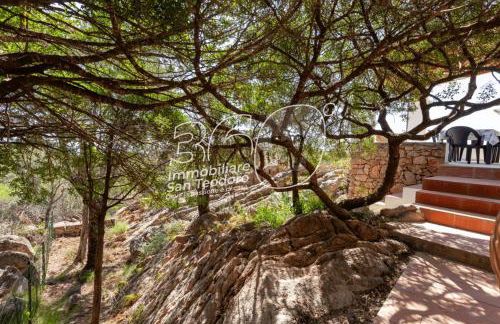 VIllino Ginepro - Foto 33