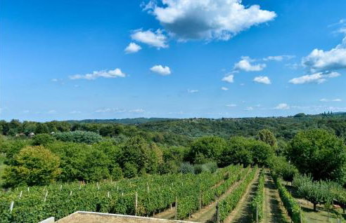 Beautiful Home In Vrtlinovec With Sauna - Foto 9