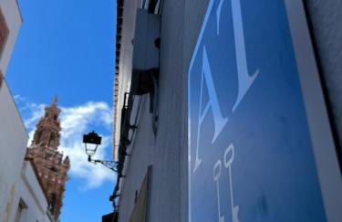 Apartamentos San Miguel - Foto 7