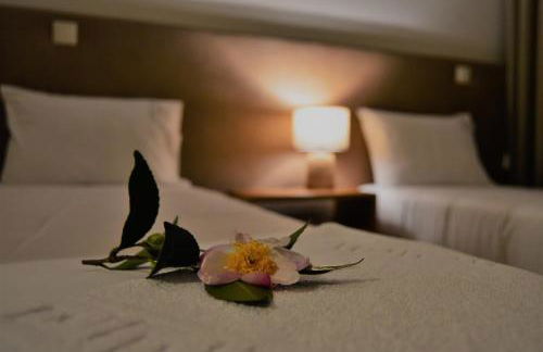 Villam Natura & Spa - Foto 15