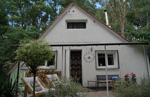 Ostoja dom letniskowy - Foto 4