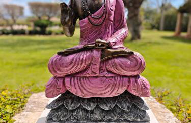 Finca RÚSTICA FELOSTAL Son Soleclau with Sauna & Pool - Foto 39