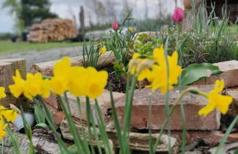 Żurawisko - Domki wśród natury - Foto 28