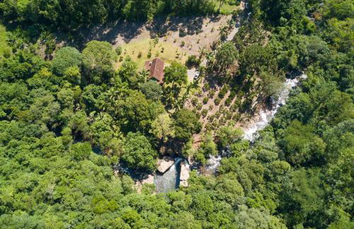 Canto da cascata - Foto 59