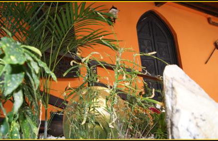 Villa Spa Las Tinajas - Photo 9