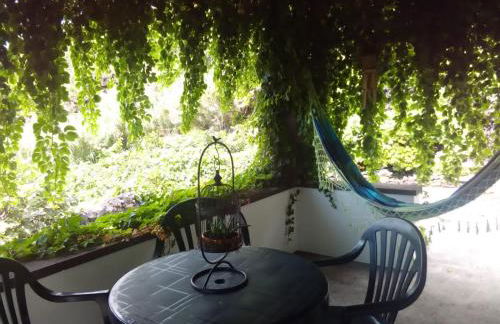 Casa Belcanto da Fajã - Photo 9