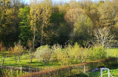 Proche Beauval appartement 60m2 avec mezzanine et petite terrasse - Foto 17