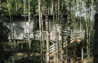 Domek w drzewach w Siedlisku Polanka - Foto 15