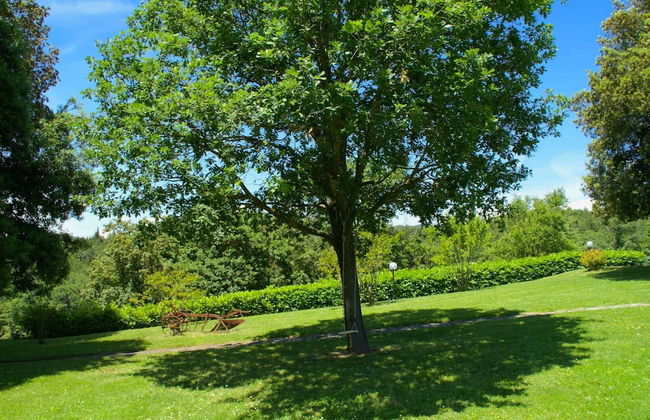 Beautiful Apartment With Panoramic Swimming Pool - Foto 38