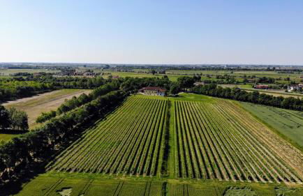 Agriturismo Ae Cavane - Foto 61