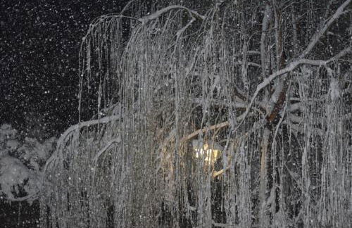 CASA EL CORRAL - Foto 24