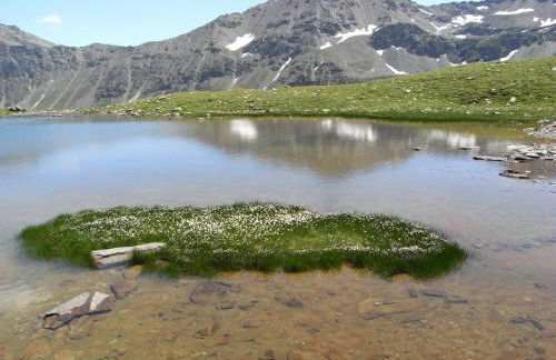 Appartamento Cogolo con terrazza 7 posti - Foto 11