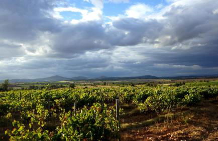 Casa da Laja - Casas de Villar- Rural Experience - Foto 6