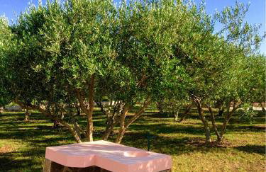 Vacation house Maslina - Foto 3