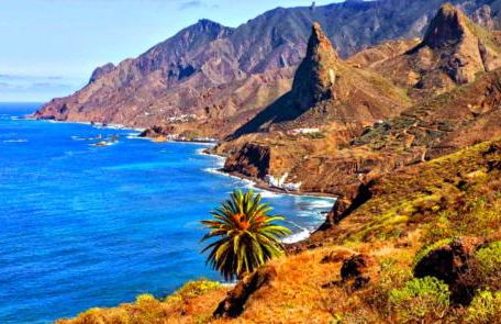 Canela Tenerife Apartment - Foto 48