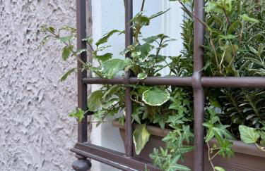 Casa Lazzari - Giardino Segreto a 3 min da Villa Maria Cecilia Hospital - Foto 13