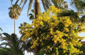 Appartamento vista splendida Residence du Golf - Foto 14