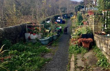 Windsor View - Foto 28