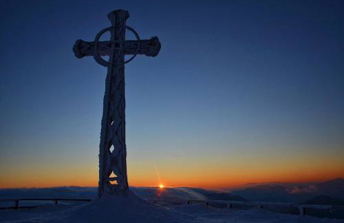 Gawra Gustawa - Foto 29