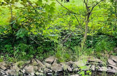 Kleines Landhaus von 1870 - Foto 13