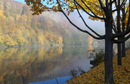 Huize Carmélites - Foto 53