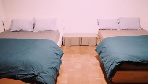 Apartement Saint Louis Train Station- EuroAirport- Basel - Photo 2