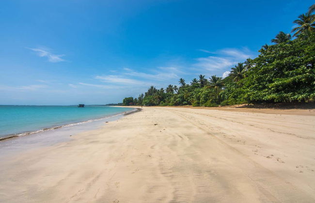 Day Trip to Morro de São Paulo - Photo 1