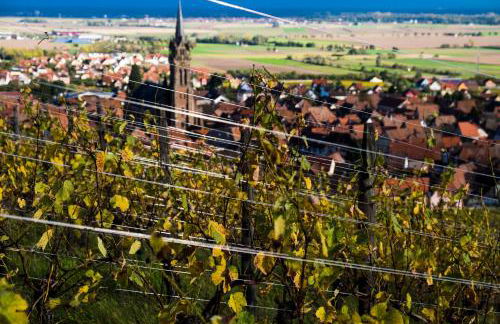 Le p'tit coin de chez nous - Foto 70