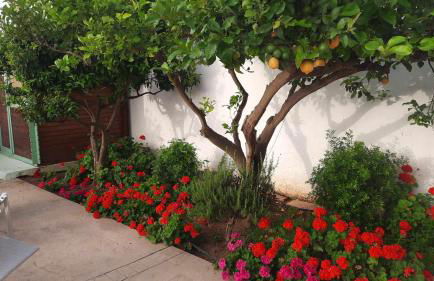 Villa Chiaraluna - Foto 55