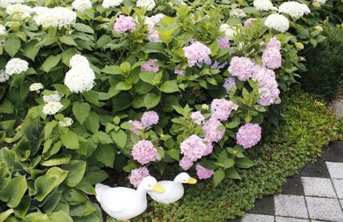 Ferienwohnung Waltraud - Foto 24