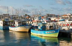 Résidence Sables d'Or Accès direct plage - Foto 23