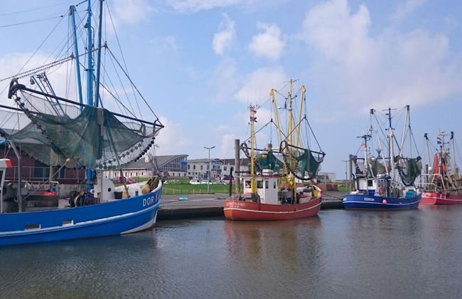 Holiday Apartment Neptune 211 - Photo 14